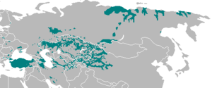 Turkic languages